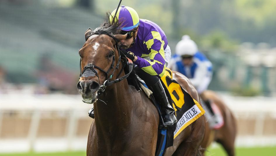 Exaulted, Defunded 2023 Shoemaker Mile, Hollywood Gold Cup, Santa Anita, Breeders' Cup Win and You're In, Bob Baffert Exaulted, Defunded 2023 Shoemaker Mile, Hollywood Gold Cup, Santa Anita, Breeders' Cup Win and You're In, Bob Baffert